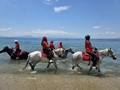 Ο καθαγιασμός των αλόγων στα νερά του Νότιου Πηλίου